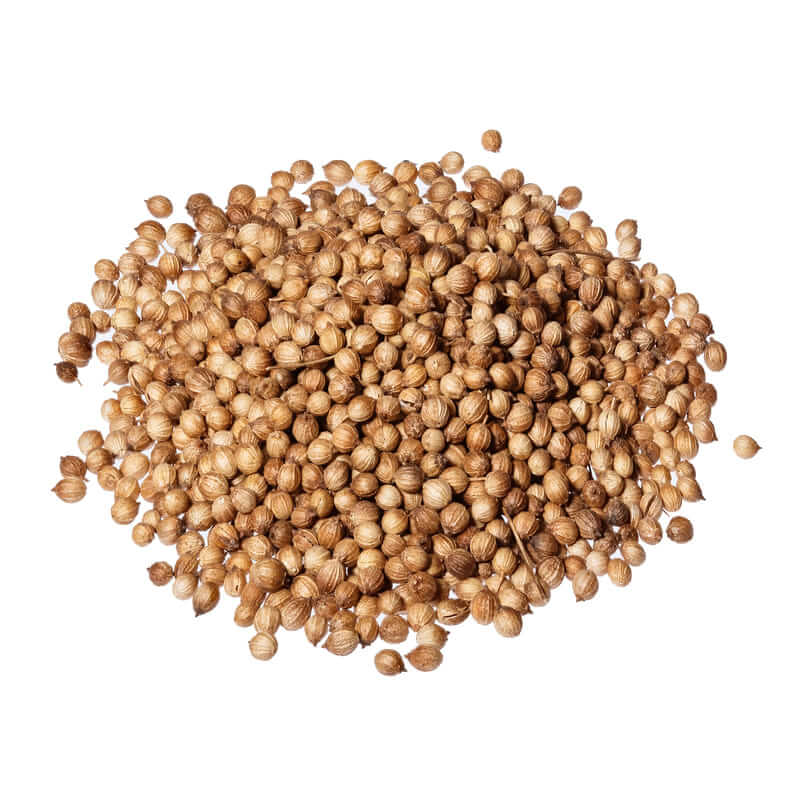 Semi di Coriandolo Samrat 90g