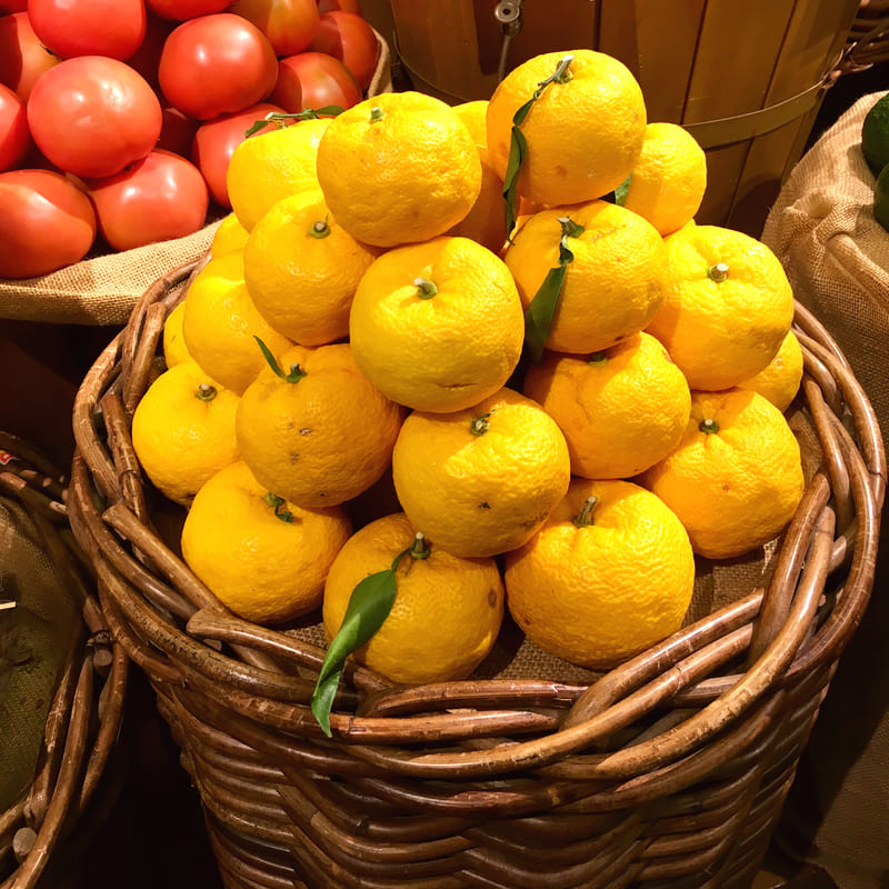 Tè Coreano Yuja Cha tè Yuzu Cedro 580g