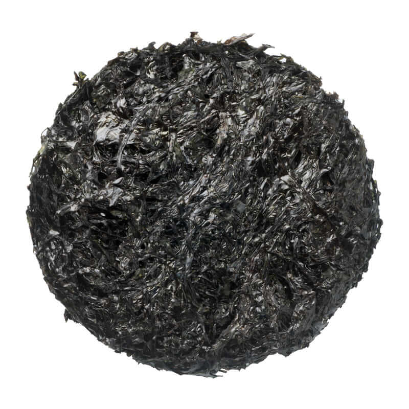 Zicai Tender Seaweed 30g