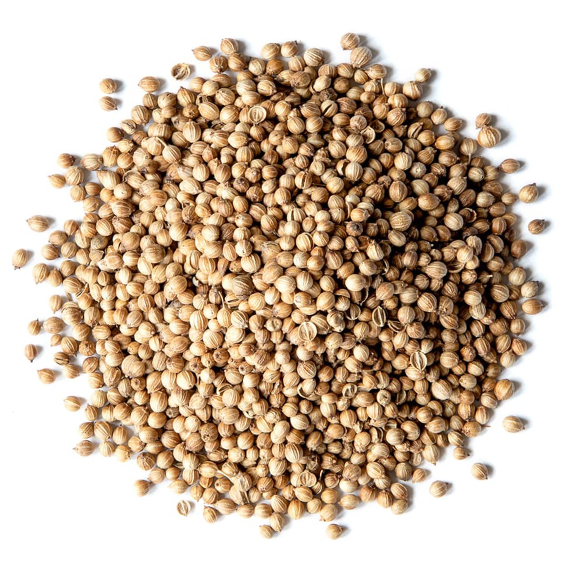 Coriander Seeds (Whole) 100g - TRS