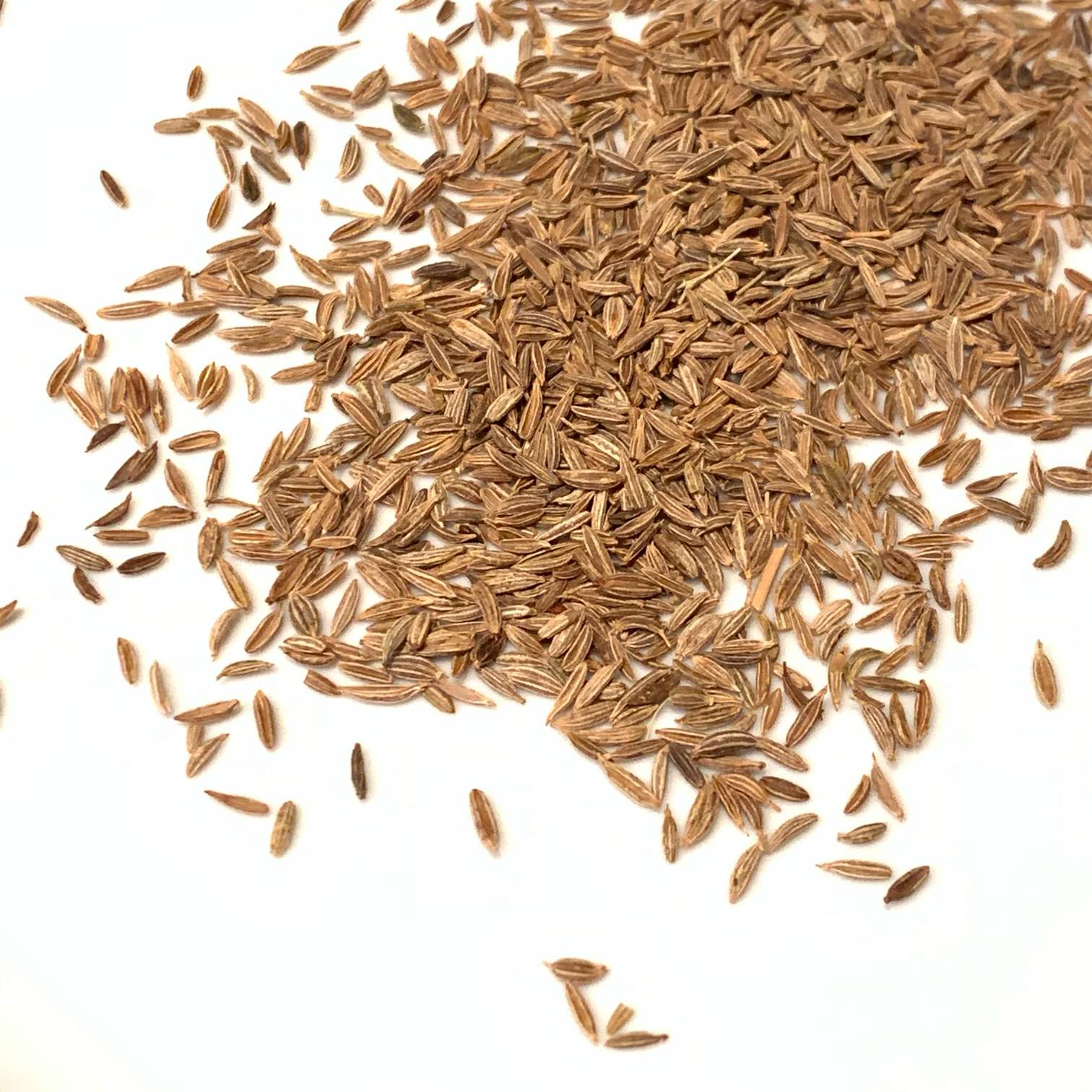 Cumin Seed 50g - Xianggongguan