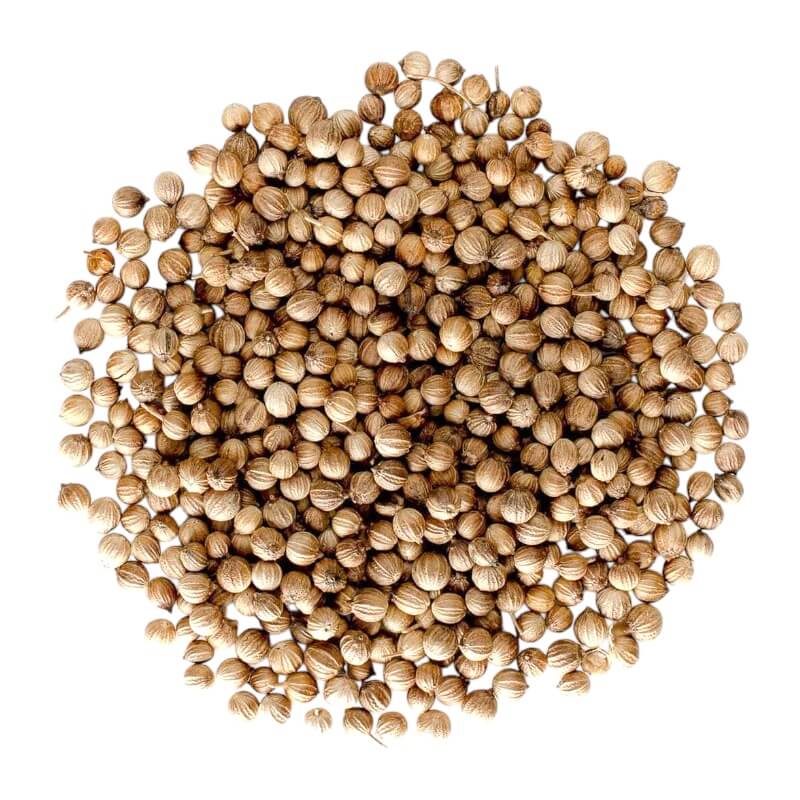 Samrat Coriander Seeds 90g