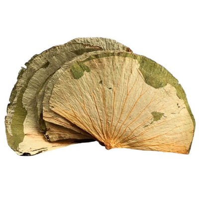 Dried lotus Leaves 454g
